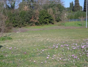 Terreno - Terreno edificabile in Vendita in Via Romana Lucchese, Fucecchio, FI a Fucecchio