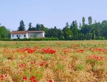 Giardino - Casa indipendente in Vendita in Strada Comunale Savonesa a Tortona