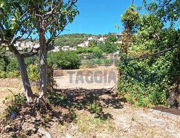 Foto 1 di 10 - Terreno agricolo in Vendita in Via Giuseppe Mazzini a Pompeiana