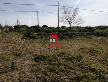 Foto 1 di 11 - Terreno edificabile in Vendita in Strada Marausa Salinagrande a Misiliscemi