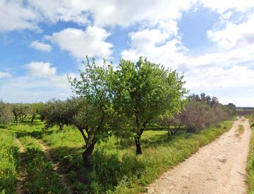 Foto 1 di 9 - Terreno agricolo in Vendita in Via del Maratoneta a Mazara del Vallo