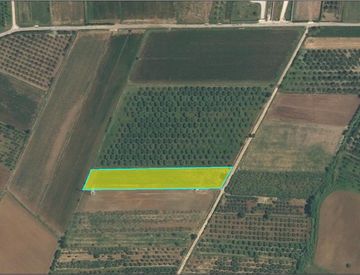 Terreno - Terreno agricolo in Vendita in Via Difesa Maddalena Superiore a Campagna