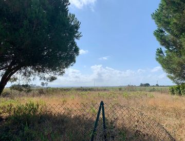Terreno - Terreno agricolo in Vendita in Località San Giorgio a Tarquinia