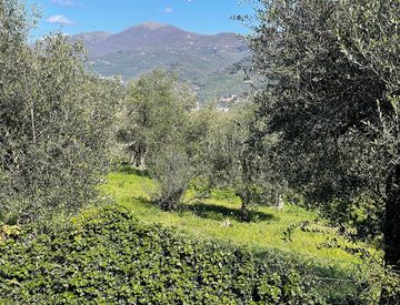 Foto 1 di 13 - Terreno agricolo in Vendita in Strada Comunale dei Francesi a Imperia