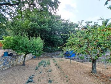 Foto 1 di 45 - Terreno agricolo in Vendita in zona Diano Gorleri a Diano Marina