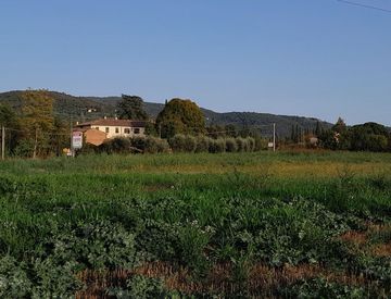 Terreno agricolo in Vendita in SR71 5 a Arezzo 48650mq Casa.it