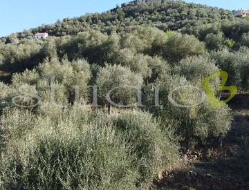 Foto 1 di 5 - Rustico, casale in Vendita in Strada Provinciale 62 a Perinaldo