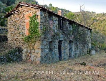 Foto 1 di 8 - Rustico, casale in Vendita in Strada campagna a Dolceacqua