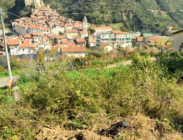 Foto 1 di 3 - Terreno edificabile in Vendita a Dolceacqua