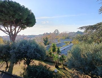 Giardino - Attico, mansarda in Vendita in zona Piani di Borghetto-Ospedale a Bordighera