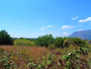 Foto 1 di 18 - Terreno agricolo in Vendita in Via dei Ciclamini a Alcamo