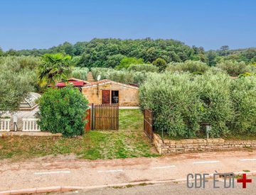 Giardino - Rustico, casale in Vendita in Località valle della chiesa a Gradoli