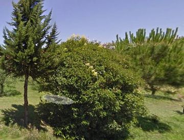 Giardino - Casa indipendente in Affitto in Via Piavola a Buti