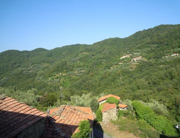 Foto 1 di 34 - Casa indipendente in Vendita in Località case a Testico