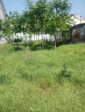 Giardino - Terreno edificabile in Vendita in zona Centro a Vigevano