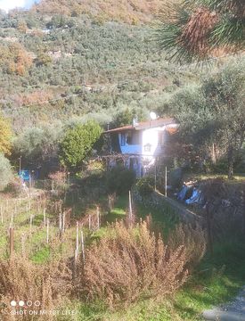 Giardino - Casa indipendente in Vendita in borgo a Apricale