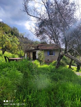 Foto 1 di 14 - Rustico, casale in Vendita in campagna a Apricale