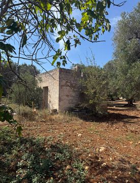 Giardino - Rustico, casale in Vendita in Contrada Ammazzaciuccio a Carovigno