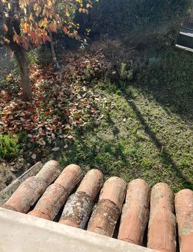 Giardino - Casa indipendente in Vendita in Largo Europa a Tortona