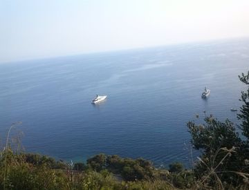 Foto 1 di 8 - Terreno edificabile in Vendita in zona Grimaldi-Mortola a Ventimiglia