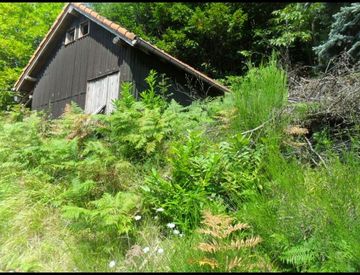 Foto 1 di 13 - Rustico, casale in Vendita in Frazione Montenotte Superiore a Cairo Montenotte