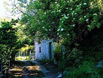 Foto 1 di 11 - Rustico, casale in Vendita in contrada San Leone a Tortorici