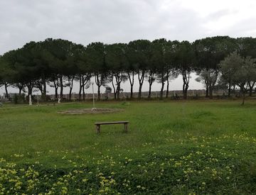 Foto 1 di 8 - Villa in Vendita in SP5 676 a Margherita di Savoia