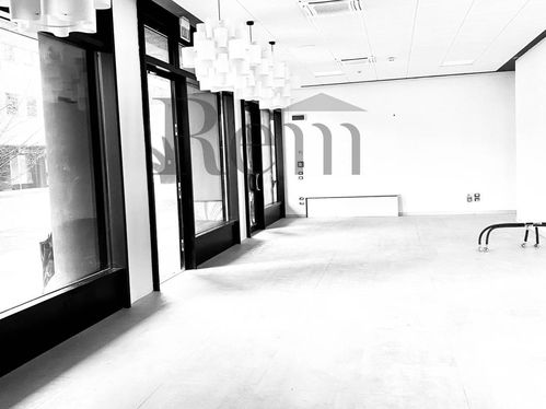 immagine gallery