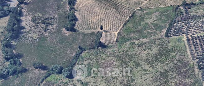 Terreno agricolo in commerciale in 