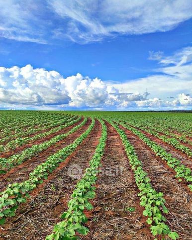 Terreno agricolo in commerciale in 