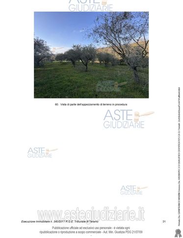 Terreno agricolo in commerciale in