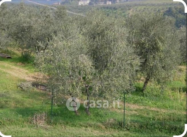 Terreno agricolo in commerciale in Via Castra 61