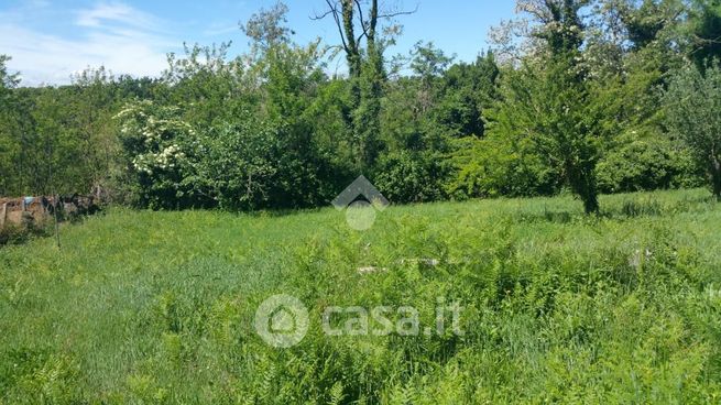 Terreno agricolo in commerciale in Colle Acqua Maggio