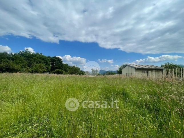 Terreno agricolo in commerciale in Borgata Selvaggio Rio