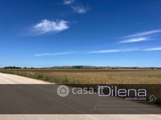 Terreno agricolo in commerciale in Strada Provinciale 151