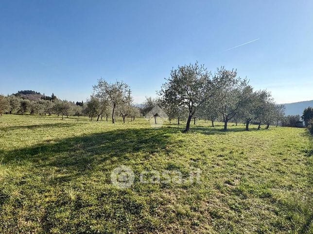 Terreno agricolo in commerciale in Via di Monteloro
