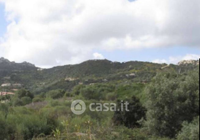 Terreno agricolo in commerciale in Piazza Antonio Segni