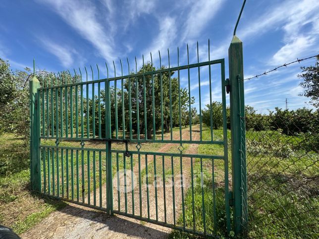 Terreno agricolo in commerciale in Località La Casaccia 20