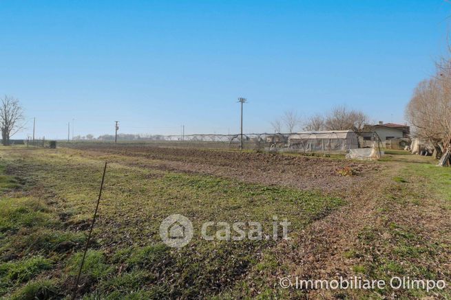 Terreno agricolo in commerciale in Via Pantiera