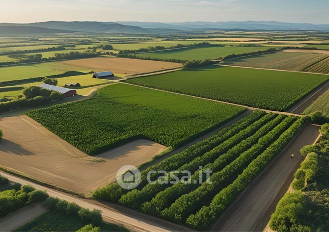 Terreno agricolo in commerciale in Strada Molinara