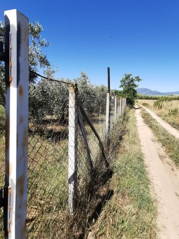 Terreno agricolo in commerciale in Via dell'Aeroporto