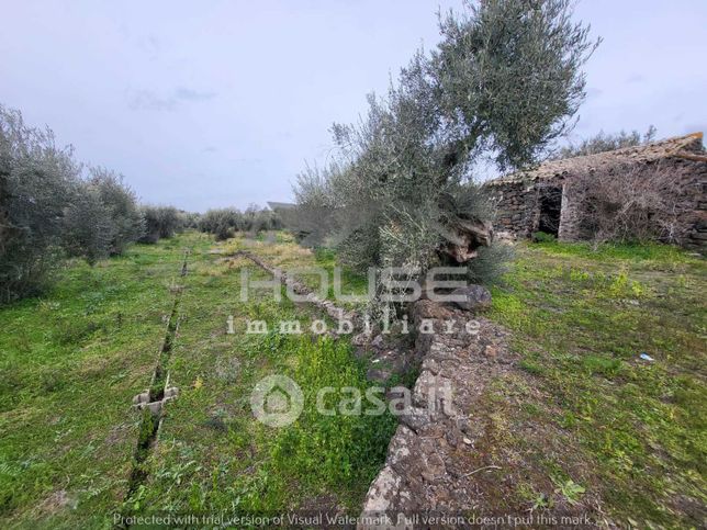 Terreno agricolo in commerciale in Contrada Mancuso