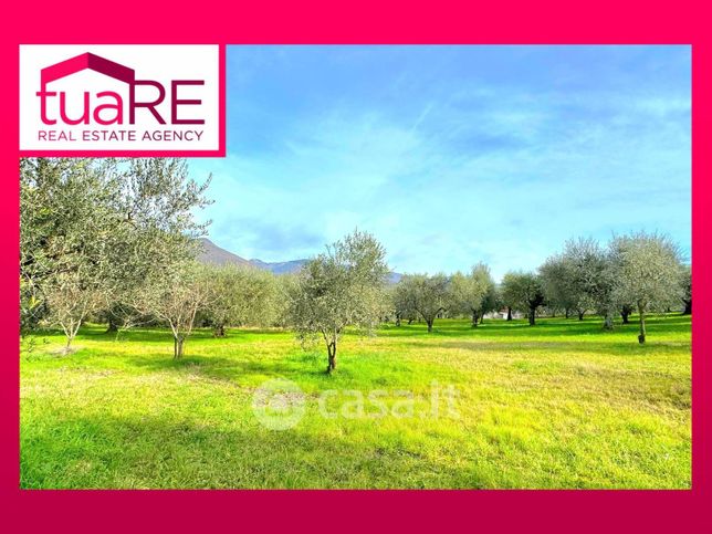 Terreno agricolo in commerciale in Via di Valle Caprara