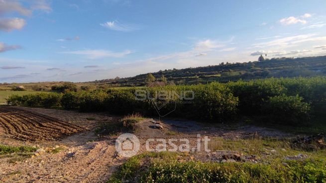 Terreno agricolo in commerciale in Traversa Artiglierìa