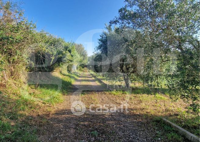 Terreno agricolo in commerciale in Via Ragusa