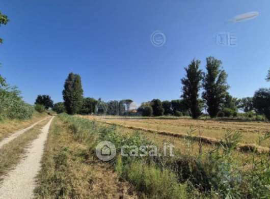 Terreno agricolo in commerciale in Via Nazario Sauro