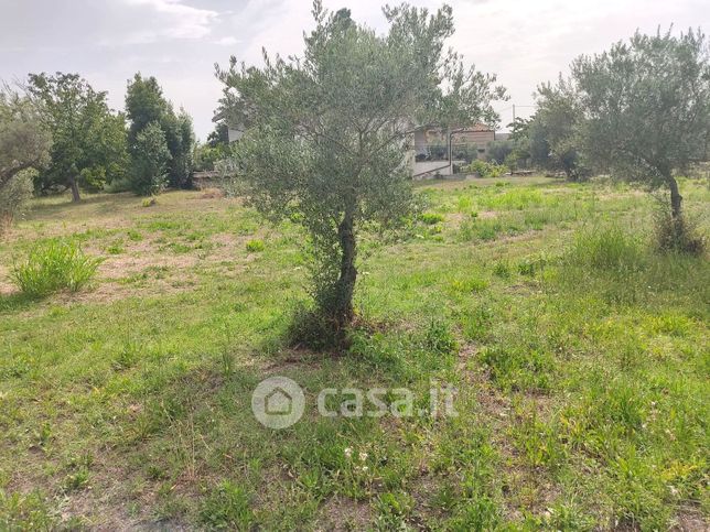 Terreno edificabile in residenziale in Contrada Mancini 8