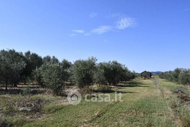 Terreno agricolo in commerciale in Via Lavoriere