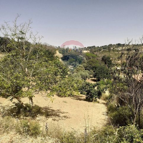 Terreno agricolo in commerciale in Strada Vicinale Pollicarini