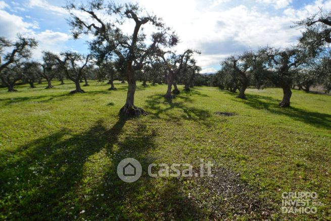 Terreno agricolo in commerciale in Contrada ulmo